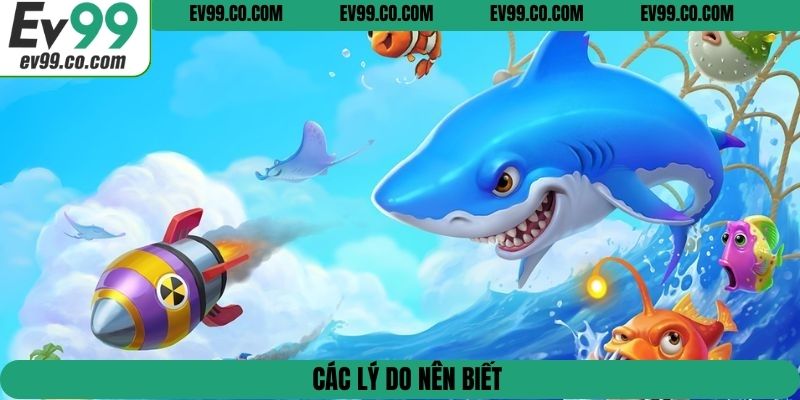 Các lý do nên biết