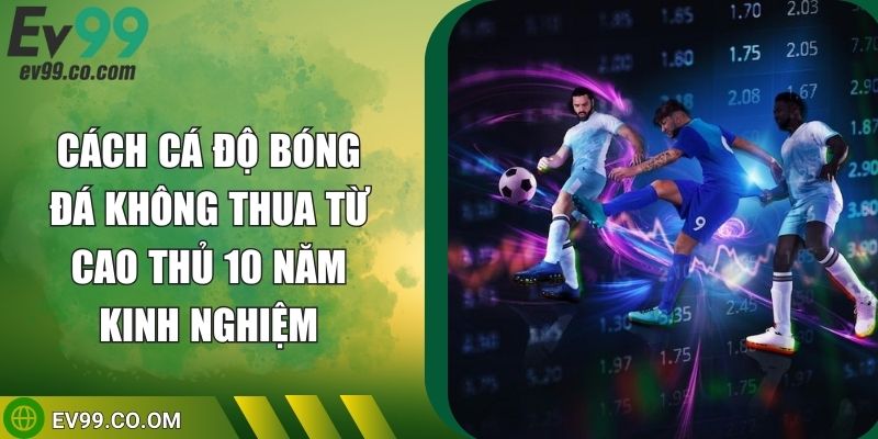 Cách Cá Độ Bóng Đá Không Thua Từ Cao Thủ 10 Năm Kinh Nghiệm