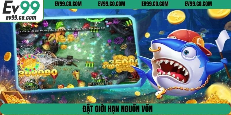 Đặt giới hạn nguồn vốn