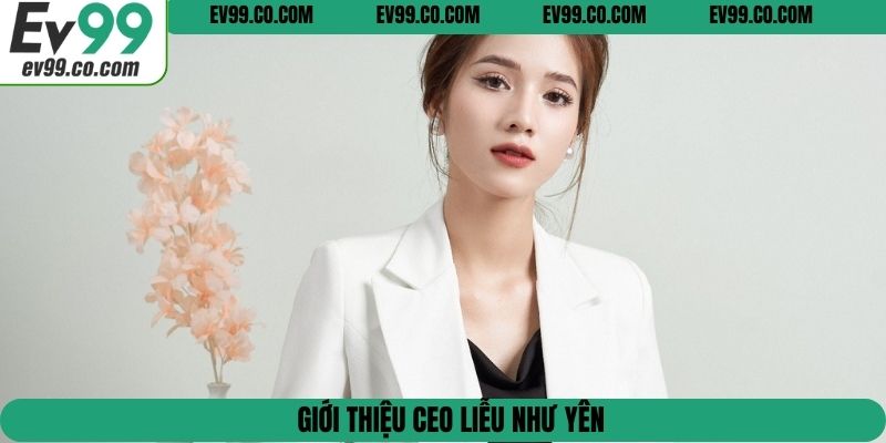 Giới thiệu CEO Liễu Như Yên